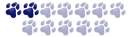 <b>Adept</b><br>Klan Księżyca